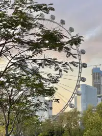 迄今為止最愛的一條深圳citywalk看海路線