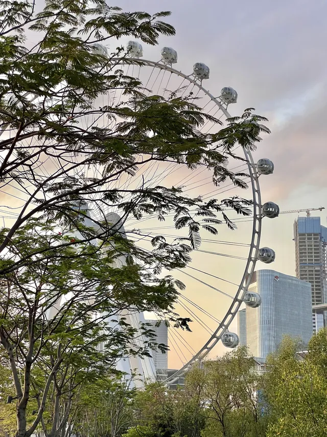 迄今為止最愛的一條深圳citywalk看海路線 迄今為止最愛的一條深圳citywalk看海路線