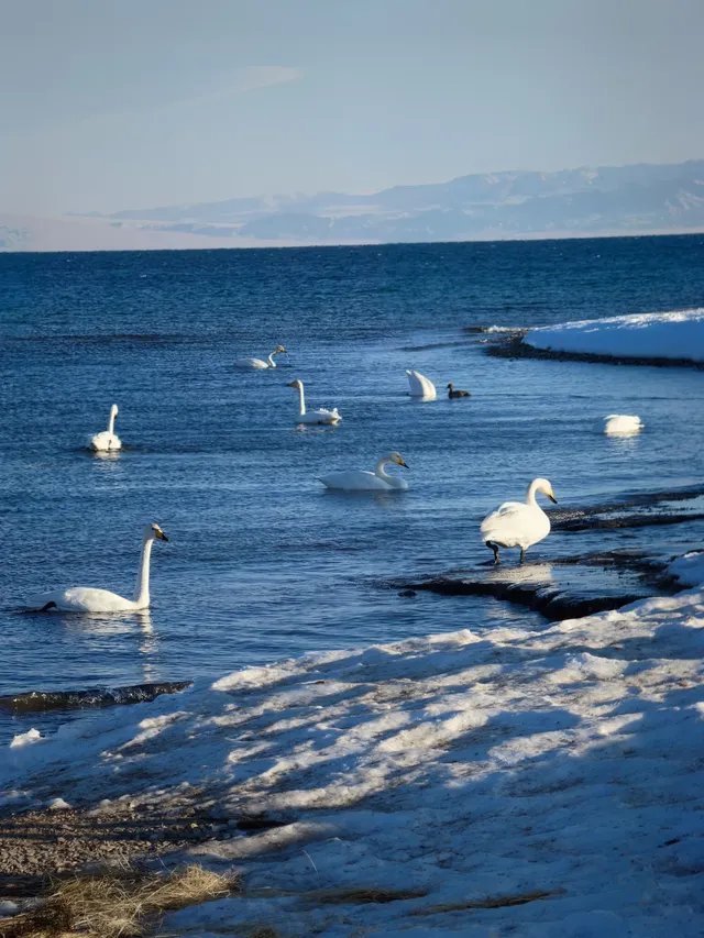阿勒泰/賽里木湖旅遊完結