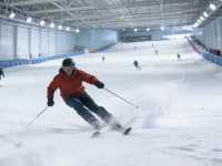 SHOW Dry Ski Resort: All-Season Training Hub – Dry Slopes + Simulators for Pros!