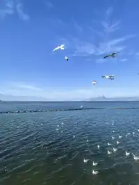 淡季的雲南，真的太美了！！