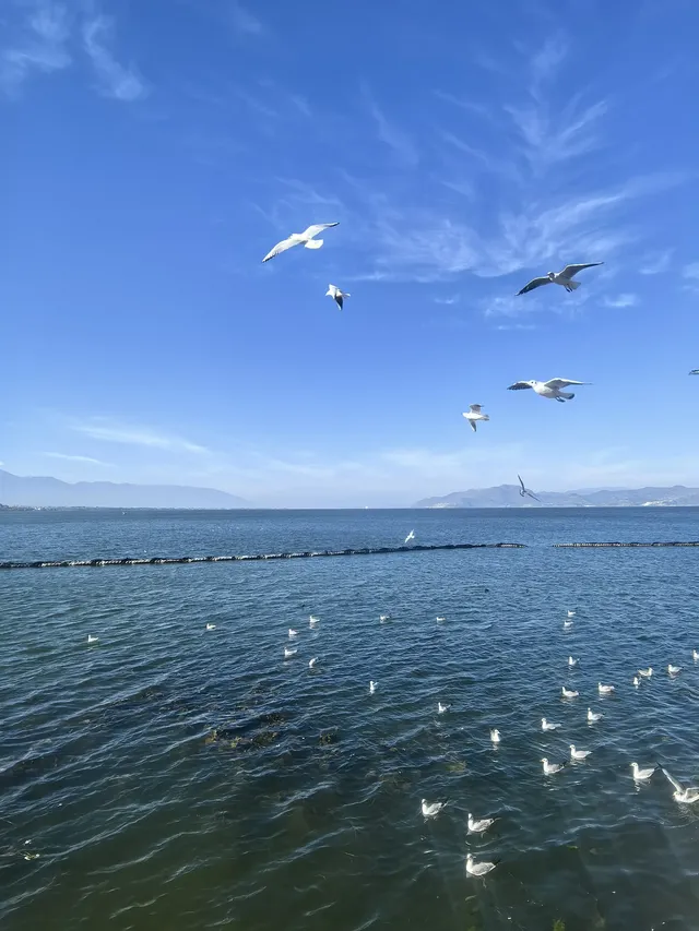 淡季的雲南，真的太美了！！