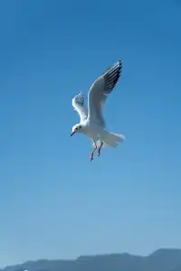 如果冬天只想去一個城市,那就是昆明