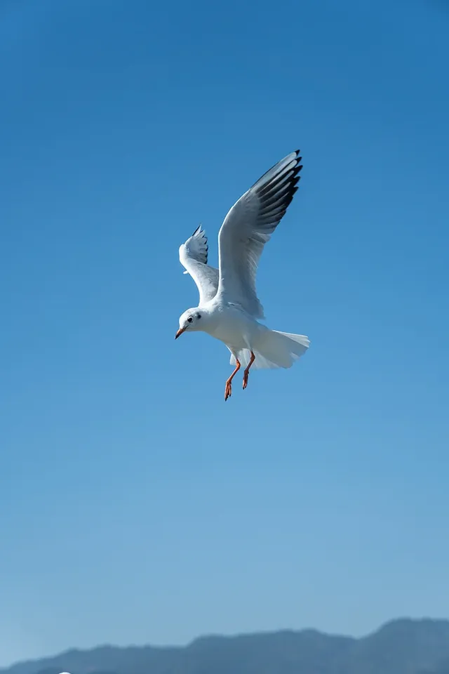 如果冬天只想去一個城市,那就是昆明 如果冬天只想去一個城市,那就是昆明