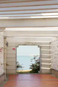 在廈門馬銮灣一起走三角梅花路啦!