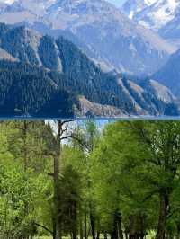 絲路月光箋:綠洲與星河的十二時辰