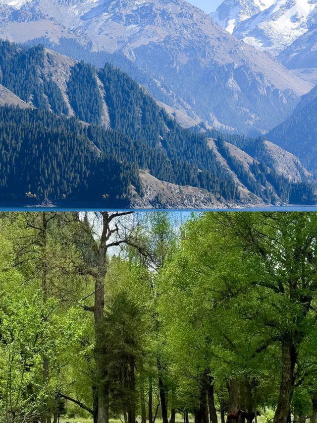 絲路月光箋:綠洲與星河的十二時辰 絲路月光箋:綠洲與星河的十二時辰