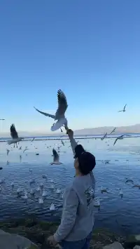 帶70歲父母勇闖玉龍雪山4680!