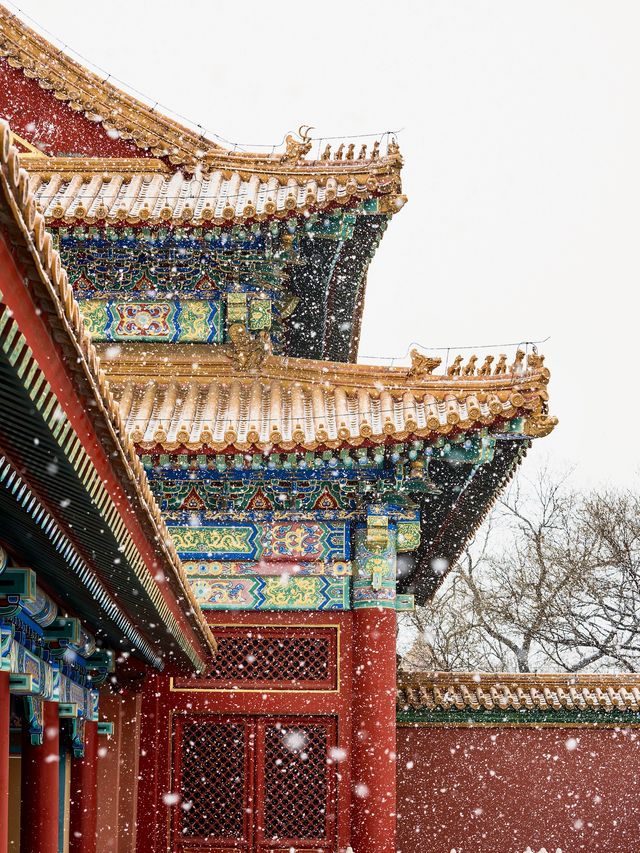 降溫了，開始期待北京的初雪