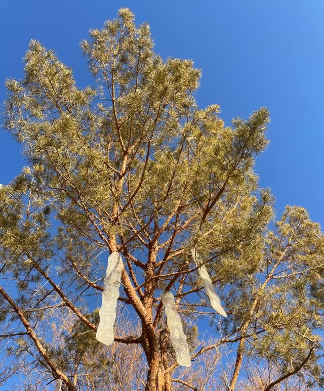 5天冬遊張掖-嘉峪關-酒泉超絕 5天冬遊張掖-嘉峪關-酒泉超絕