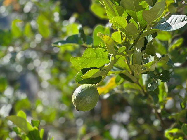 在南澳隱秘山谷裡,住進了她的花藝工作室 在南澳隱秘山谷裡,住進了她的花藝工作室