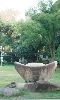 武漢東湖邊藏了個金色+鏽紅色的油畫秋天