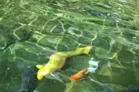 我終於來到了龍門石窟