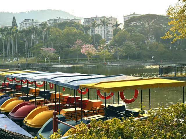 住逸居步行 10 分鐘直達 “小西湖” 住逸居步行 10 分鐘直達 “小西湖”