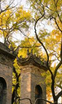 銀杏與古建邂逅