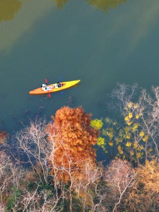 親子2日旅行ならここ！絵画のような湿地で地理を探求