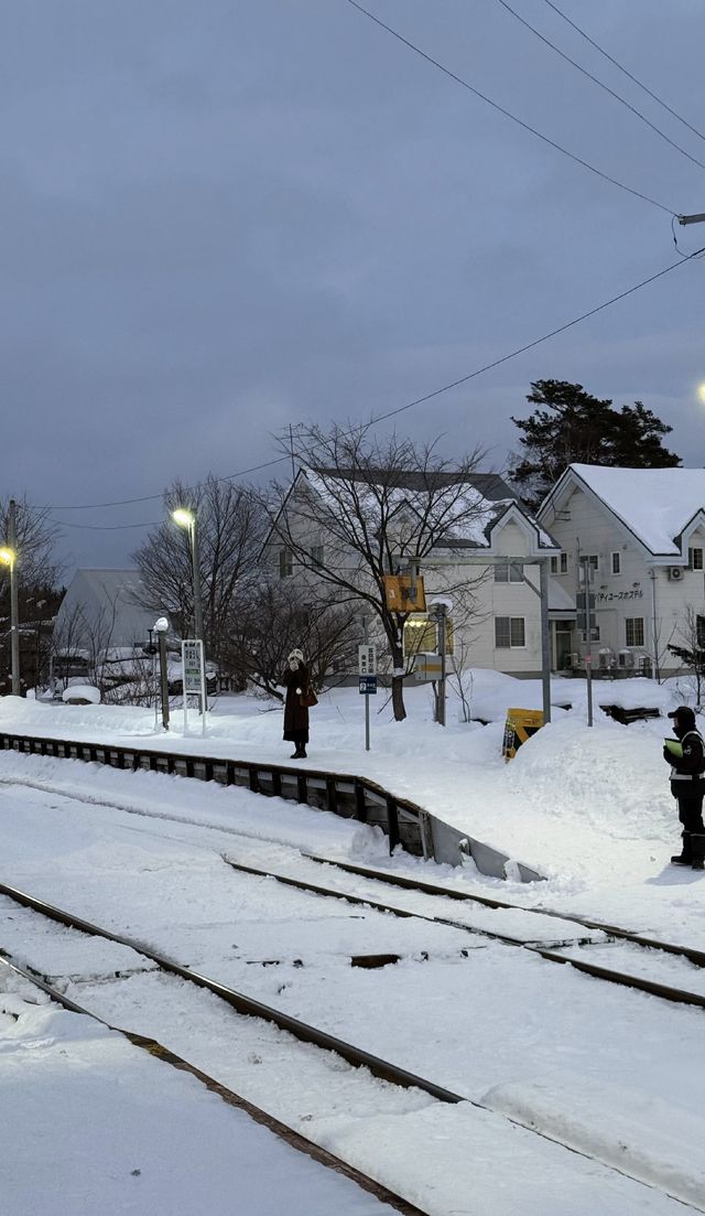 闖入北海道雪境，眼睛被治癒到了