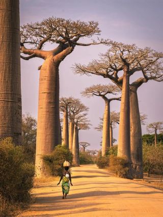 Stop focusing only on the African continent!