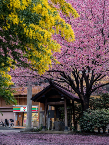 2026年 藏前神社完全ガイドおすすめ| Trip Moments