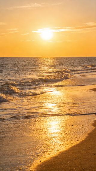 Liaoning Dalian Travel Hot Guide: The Most Romantic Seaside City in the North!