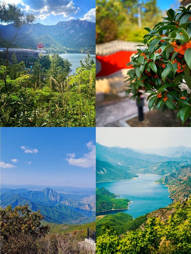 Spring In Dalian Dalian Spring Hiking Guide: Mountain and Sea Oxygen Therapy Healing ...