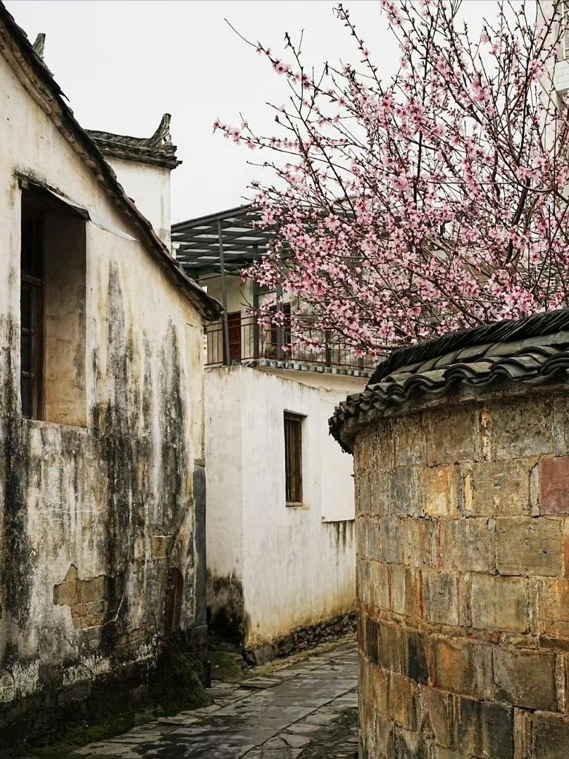 思溪延村 参考图 6