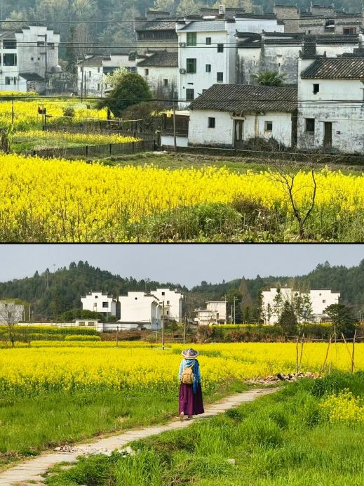 思溪延村 参考图 1