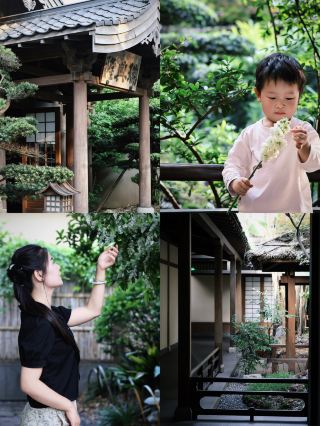 ฉางชาไม่เคยลงจากภูเขา | ชีวิตอันงดงามและดำเนินไปอย่างเชื่องช้าในลานบ้านสไตล์ราชวงศ์ซ่ง