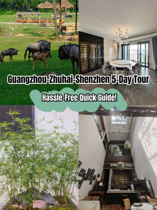 5-day Guangzhou-Zhuhai-Shenzhen nanny-level guide—read it and go