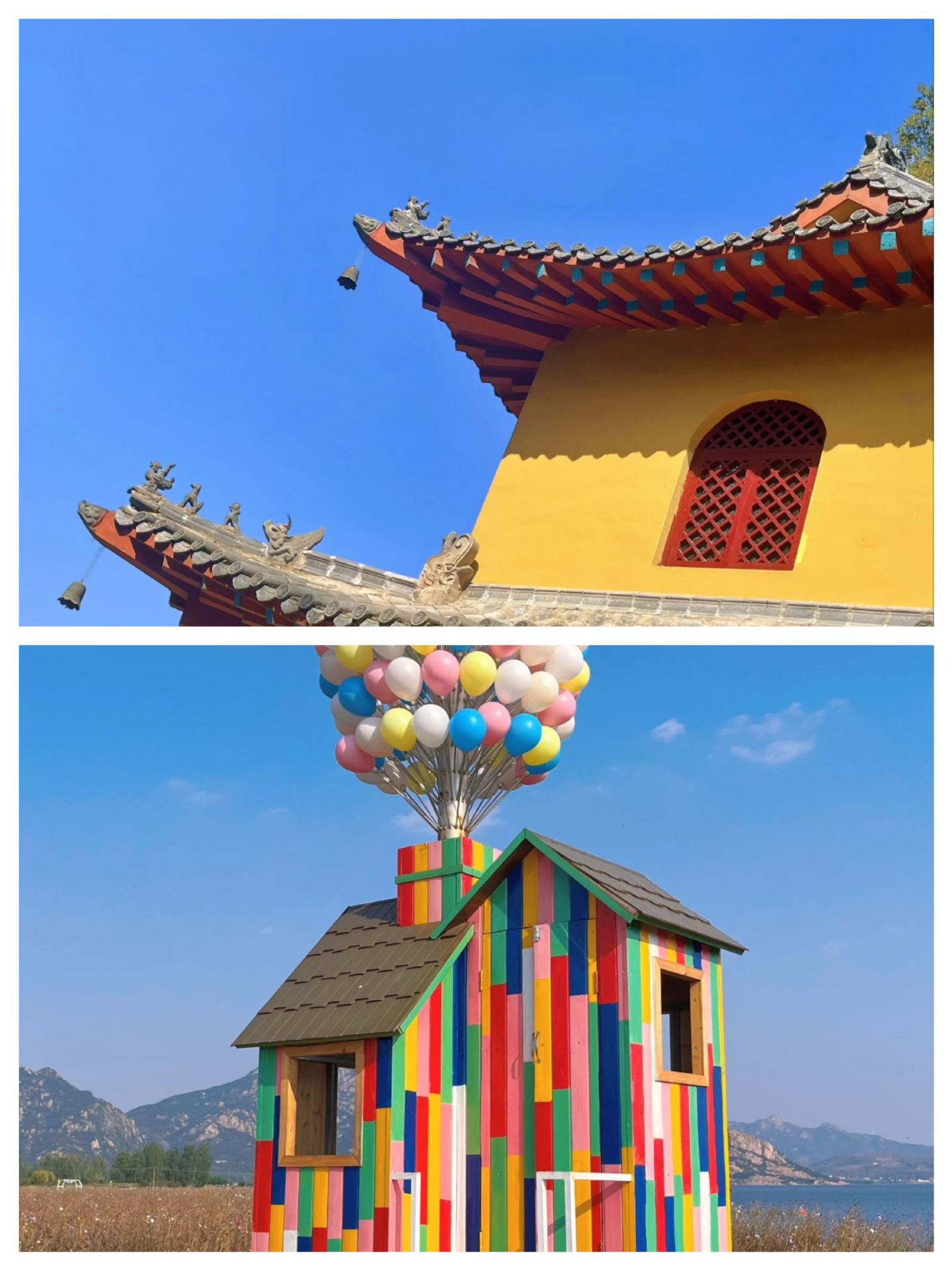 Đảo Lâm Nghi Thiên Mã