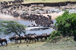 Unforgettable Safari Experience with Tanger Safaris