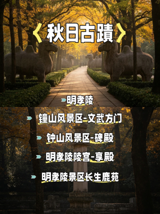 가을철 난징 명효릉 가이드 | 가장 아름다운 600미터 길이의 신성한 길을 둘러보세요