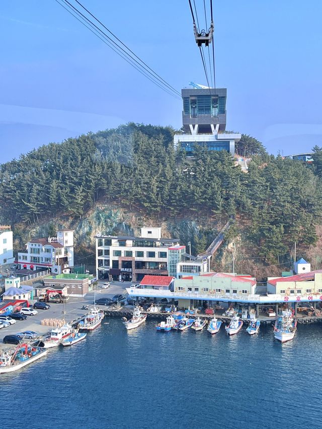 바다 위를 건너는 삼척 해성 케이블카🚠