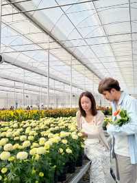 AGA Happy farm สวนดอกไม้แม่แตง เชียงใหม่