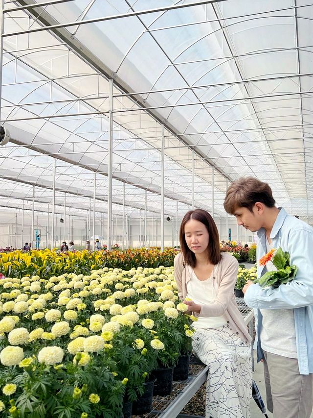 AGA Happy farm สวนดอกไม้แม่แตง เชียงใหม่