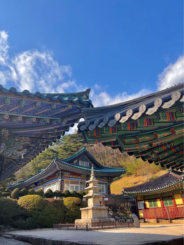 나들이 하기 좋은 예쁜 산책로가 있는 문화유산 사찰: 석남사