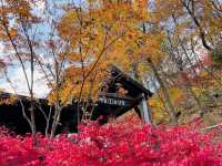 Hwadam Botanic Garden