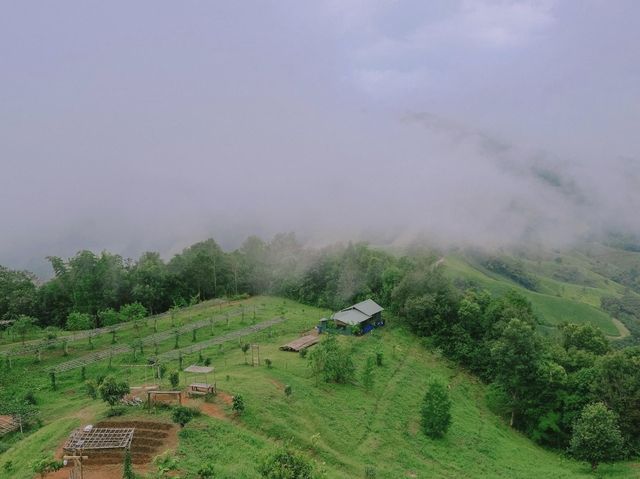 บ้านสวนดอยเปียงปุย  ดอยสกาด จ.น่าน