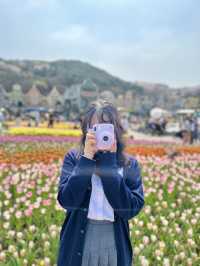 네덜란드 튤립 축제 부럽지 않은 에버랜드🌷