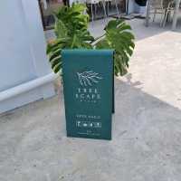 Minimalist Treescape Cafe In Pattaya