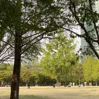튤립🌷이 한가득 피어있는 “서울숲” 🌳