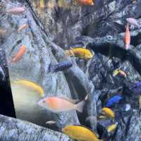 Aquaria Phuket 