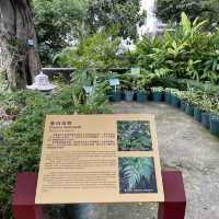 Luís de Camões Plant Nursery