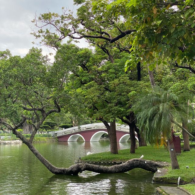 台中公園🐕
