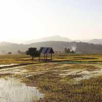 บ้านวังริมคอง โฮมสเตย์ เมืองคอง จ.เชียงใหม่