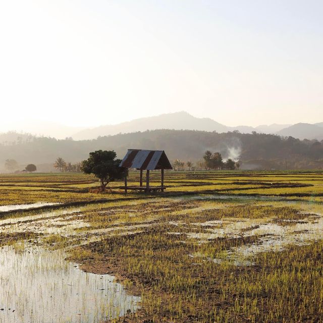บ้านวังริมคอง โฮมสเตย์ เมืองคอง จ.เชียงใหม่