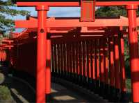 高山稻荷神社：美景，特色鳥居，適合任何時間和場景