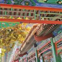 🌸🏯 感受皇家魅力～圓明新園🌼🌳