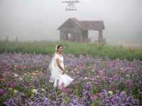 ไร่ภูผาหมวก.. เชียงดาว จ.เชียงใหม่