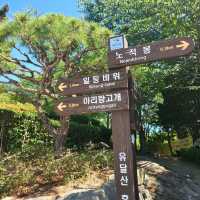 목포여행, 애견동반도 가능한 유달산 ⛰️ (목포 케이블카)